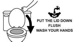 put the lid down wash hands