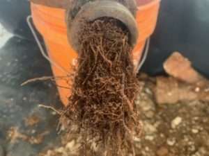 Septic Inspection Services 7 septic-inspection