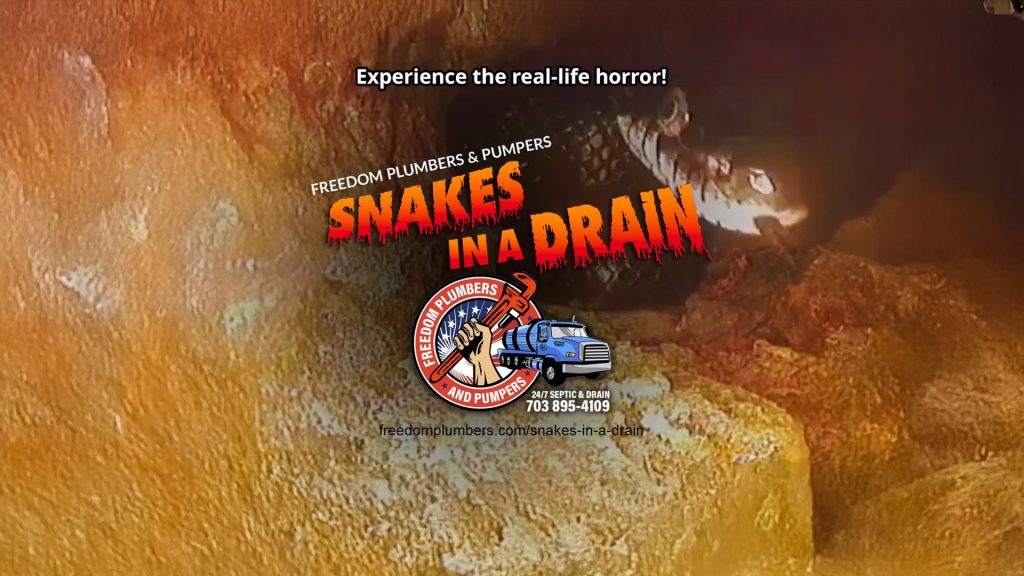 Sewer Drain Video Inspection, Fairfax, Virginia 5 Snakes in a drain? Call Freedom Plumbers